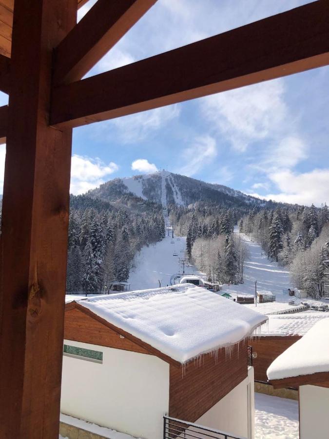 Chalet Kokhta 巴库里阿尼 外观 照片