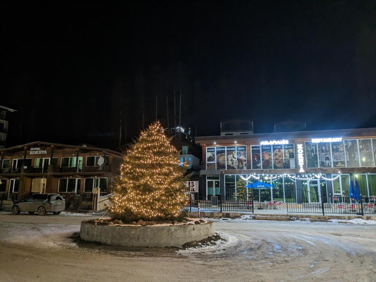 Chalet Kokhta 巴库里阿尼 外观 照片